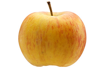 Image showing Multicoloured apple