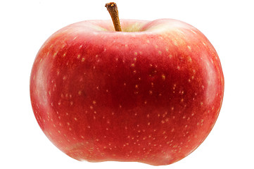 Image showing Red apple