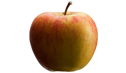 Image showing Multicoloured apple.