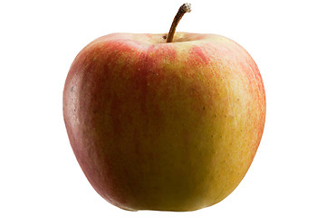 Image showing Multicoloured apple