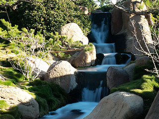 Image showing Japanese garden