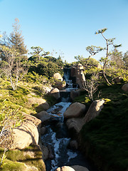 Image showing Japanese garden