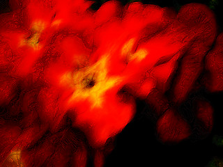 Image showing abstract flower