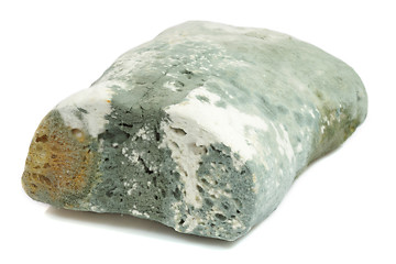 Image showing Mold bread