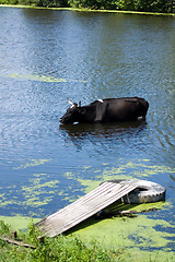 Image showing Saving from heat