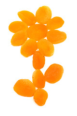 Image showing Apricots flower