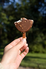 Image showing Piece of icecream