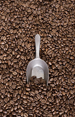 Image showing Coffee beans background