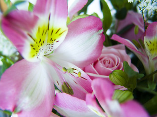 Image showing Flower bouquet