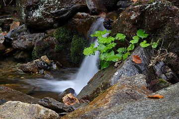 Image showing waterfall