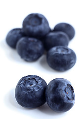 Image showing Blueberries on a white background