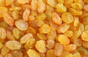 Image showing Golden raisins background