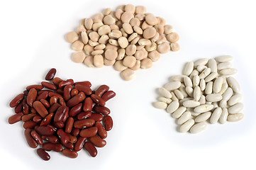 Image showing Different beans