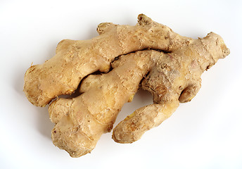 Image showing Piece of fresh ginger