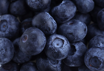 Image showing Blueberries macro