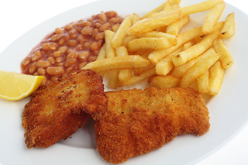 Image showing Breaded fish fillets meal angled