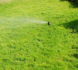 Image showing water sprinkler