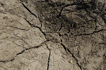 Image showing Dry soil