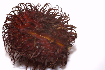 Image showing rambutan