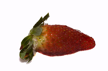 Image showing strawberry2