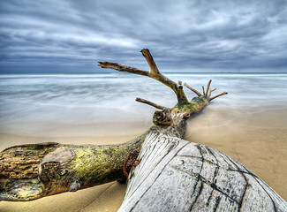 Image showing Beach