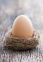 Image showing Egg