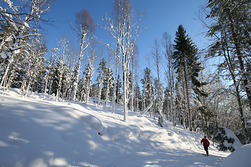 Image showing Skiing