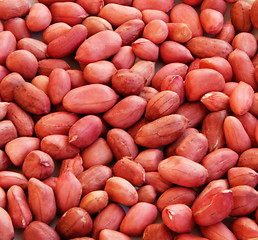 Image showing Peanuts