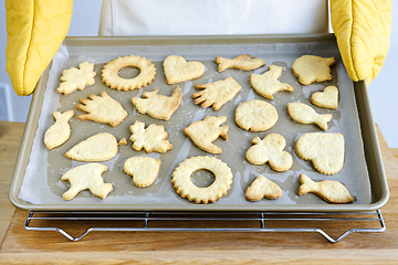 Image showing Freshly baked cookies