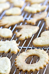 Image showing Cooling freshly baked cookies