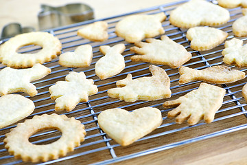 Image showing Cooling freshly baked cookies