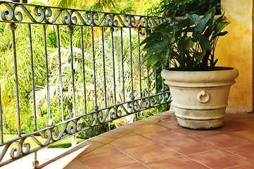 Image showing Plant on tiled Mexican veranda