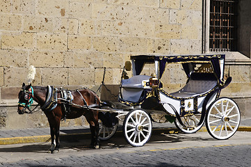 Image showing Horse drawn carriage in Guadalajara, Jalisco, Mexico