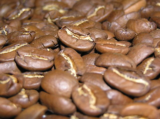 Image showing coffee beans