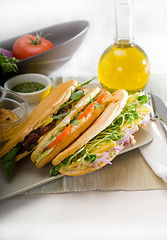 Image showing assorted panini sandwich
