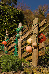 Image showing Driftwood fence with floats