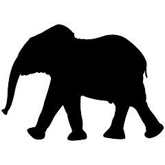 Image showing baby elephant silhouette isolated on white