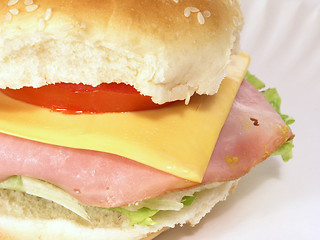 Image showing Ham and Cheese