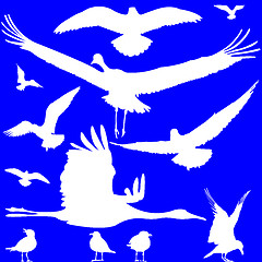 Image showing white birds silhouettes over blue