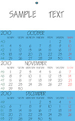 Image showing english calendar 2010 november