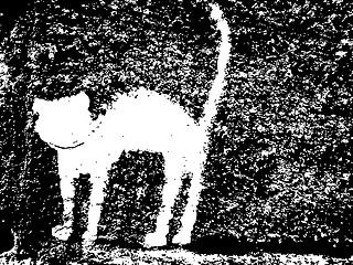 Image showing plaster cat