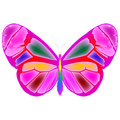 Image showing butterfly 4