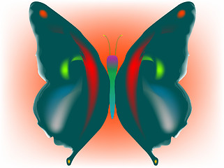 Image showing butterfly