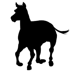 Image showing horse silhouette isolated on white