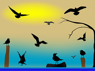 Image showing birds paradise