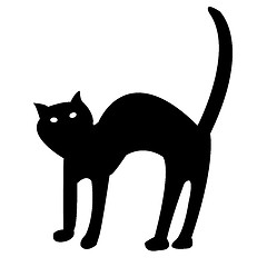 Image showing black cat isolated on white vector