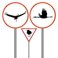 Image showing birds traffic sign