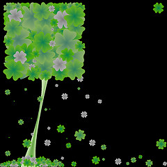 Image showing clover tree