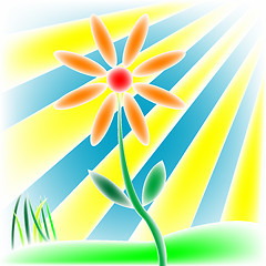 Image showing flower, grass and sun