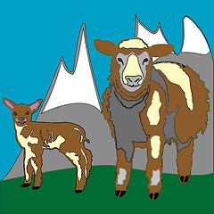 Image showing sheep